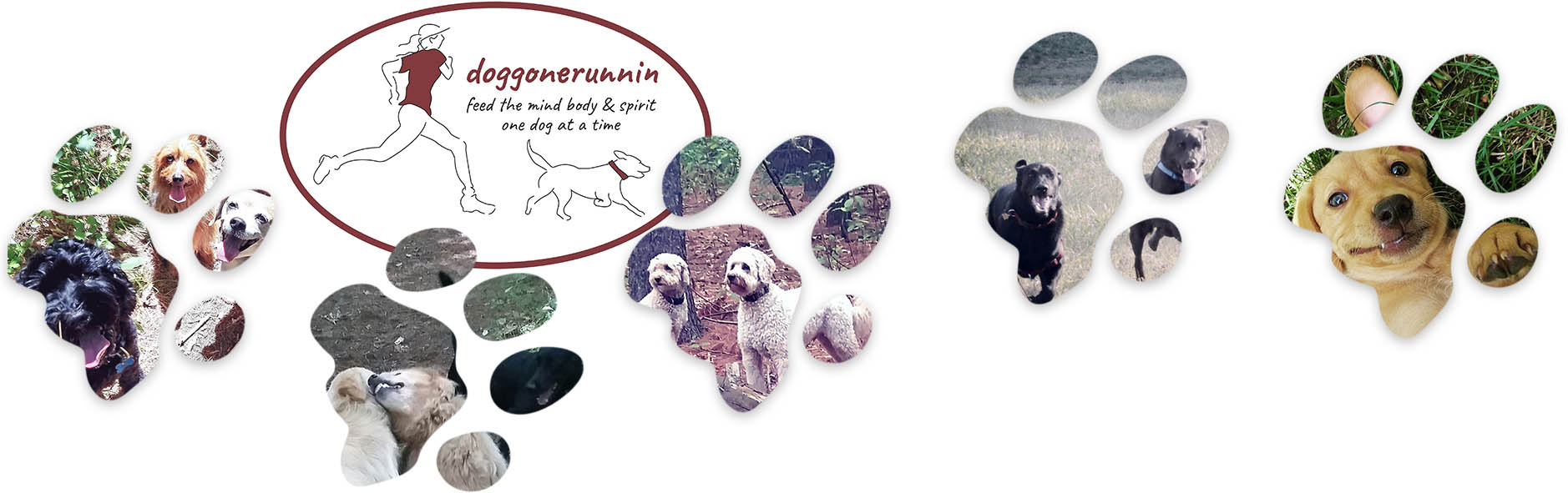 doggonerunnin logo of dog walking, local dog walker, dog fun